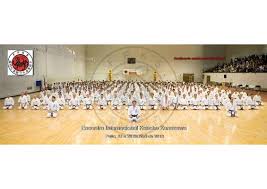 Image result for Reading Karate-Do Shotokai