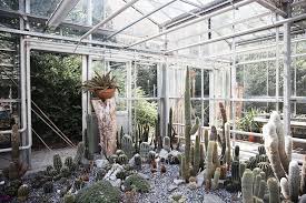 Image result for Arboretum Trompenburg