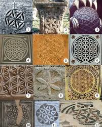 Image result for life flower