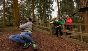Image result for Go Ape! Thetford