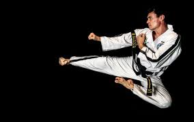 Image result for Utf Taekwondo Cymru Cardiff