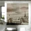 French Twist D.C.: Magasinage - Paris Shower Curtain