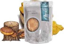 Attēlu rezultāti vaicājumam “Phellinus”