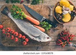 Image result for Umbrina cirrosa