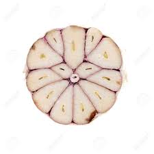 Attēlu rezultāti vaicājumam “Allium sativum fruit”