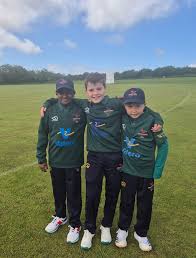 Image result for Bronwydd Cricket Club
