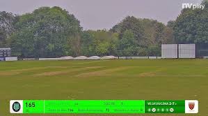Image result for Taunton Deane Cricket Club