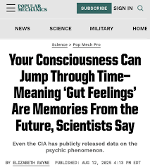 Image result for True stiners