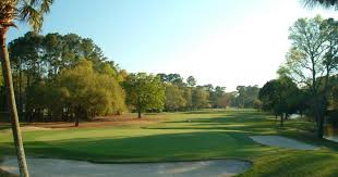 Image result for Litchfield Saracens