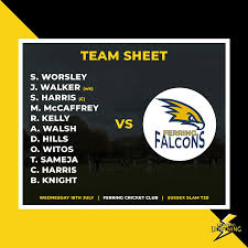 Image result for Ferring Cricket Club