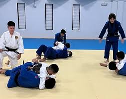 Image result for Halewood Inclusive Judo Club
