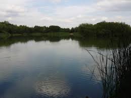 Image result for Becmain Angling Society