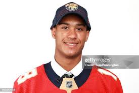 Afbeeldingsresultaat voor panters