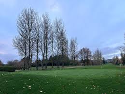 Image result for Carrickfergus Golf Club