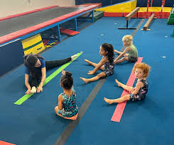 Image result for Angmering School Of Gym
