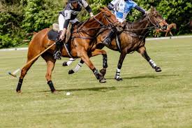 Image result for Beaufort Badminton Club