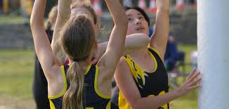 Image result for Leapoole Netball Club