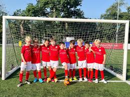 Image result for Cobham Sports Association Ltd