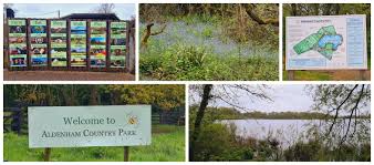 Image result for Aldenham Sailing Club