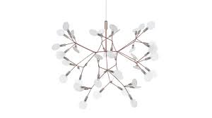 Attēlu rezultāti vaicājumam “Heracleum”