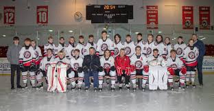 Image result for Basingstoke Bison Ice Hockey Club
