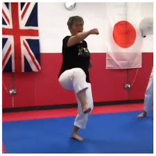 Image result for enpi dojo