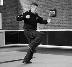 Image result for Shaolin Nam Pai Chuan Kung Fu - Manchester Martial Arts Centre