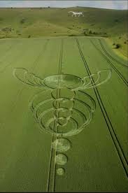 Image result for crop circles