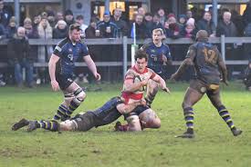 Image result for Dorking Snorkelling Club