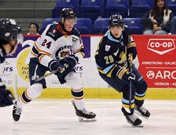 Image result for Glasgow Vipers Roller Hockey Club