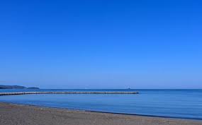 「北条美沙子」の画像検索結果