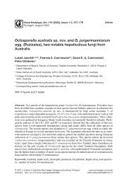Attēlu rezultāti vaicājumam “Octosporella jungermanniarum”