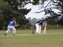 Image result for Christchurch Cricket Club