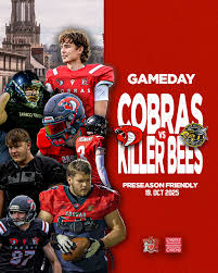 Image result for Cardiff Cobras