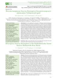 Attēlu rezultāti vaicājumam “Alloeotomus sp.”