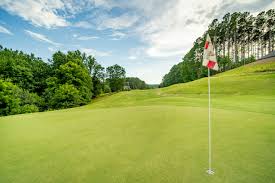 Image result for Aquarius Golf Club