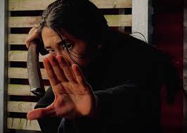 Image result for Cambridge University Kendo Society