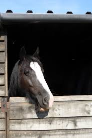 Image result for Palmers Riding Stables