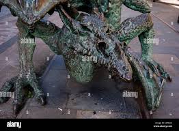 Image result for Dundee Dragons