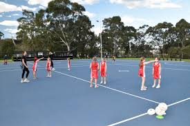 Image result for Shrivenham Netball Club