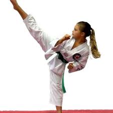 Image result for Kees Tae Kwon Do