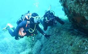 Image result for Teddington Sub-Aqua Club