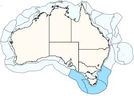 Image result for Amblyraja hyperborea