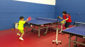 Image result for Table Tennis