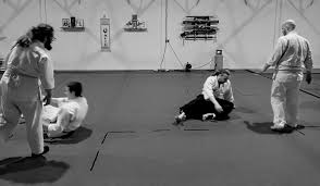 Image result for West Midlands Aikido Association Dojo