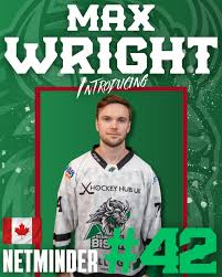 Image result for Basingstoke Bison Ice Hockey Club