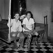 Attēlu rezultāti vaicājumam “Lycogala confusum young”