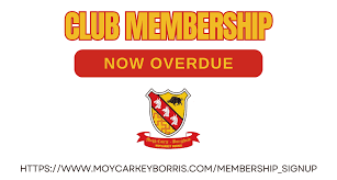 Image result for Moycarkey-Borris Gaa Club