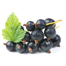 Attēlu rezultāti vaicājumam “Ribes nigrum fruit”