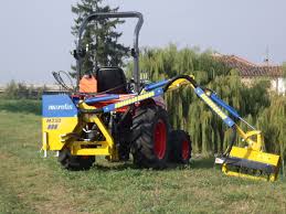 Image result for marolin tehron